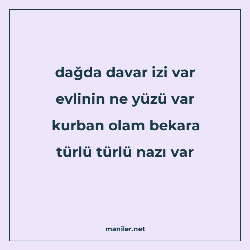 dağda davar izi var evlinin ne yüzü var kurban olam bekara t manisi görseli