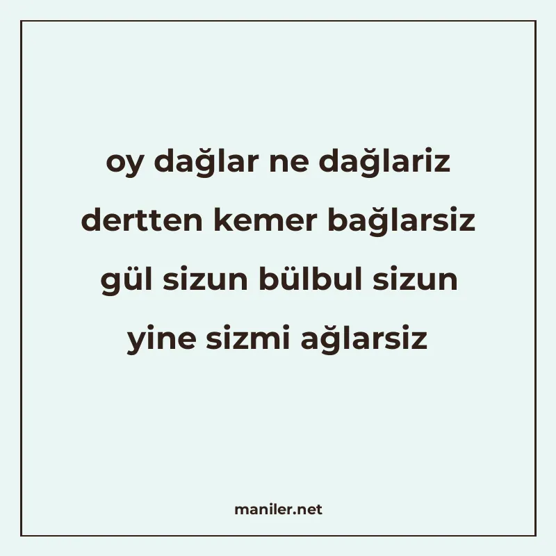 oy dağlar ne dağlariz dertten kemer bağlarsiz gül sizun bülb manisi görseli