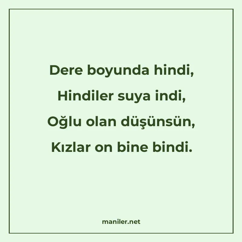Dere boyunda hindi, Hindiler suya indi, Oğlu olan düşünsün manisi görseli