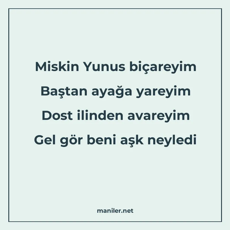 Miskin Yunus biçareyim Baştan ayağa yareyim Dost ilinden ava manisi görseli