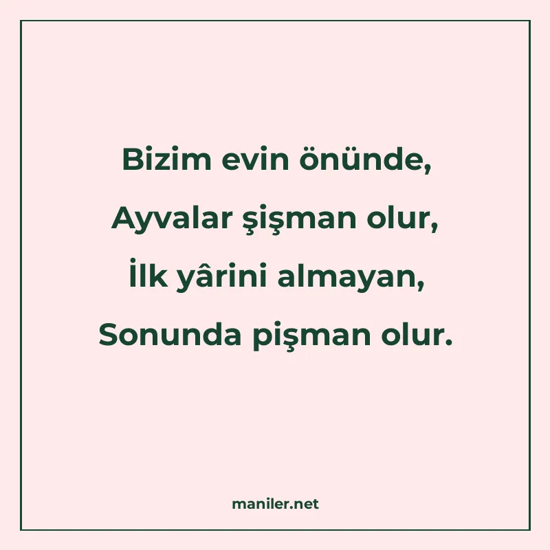 Bizim evin önünde, Ayvalar şişman olur, İlk yârini almayan manisi görseli
