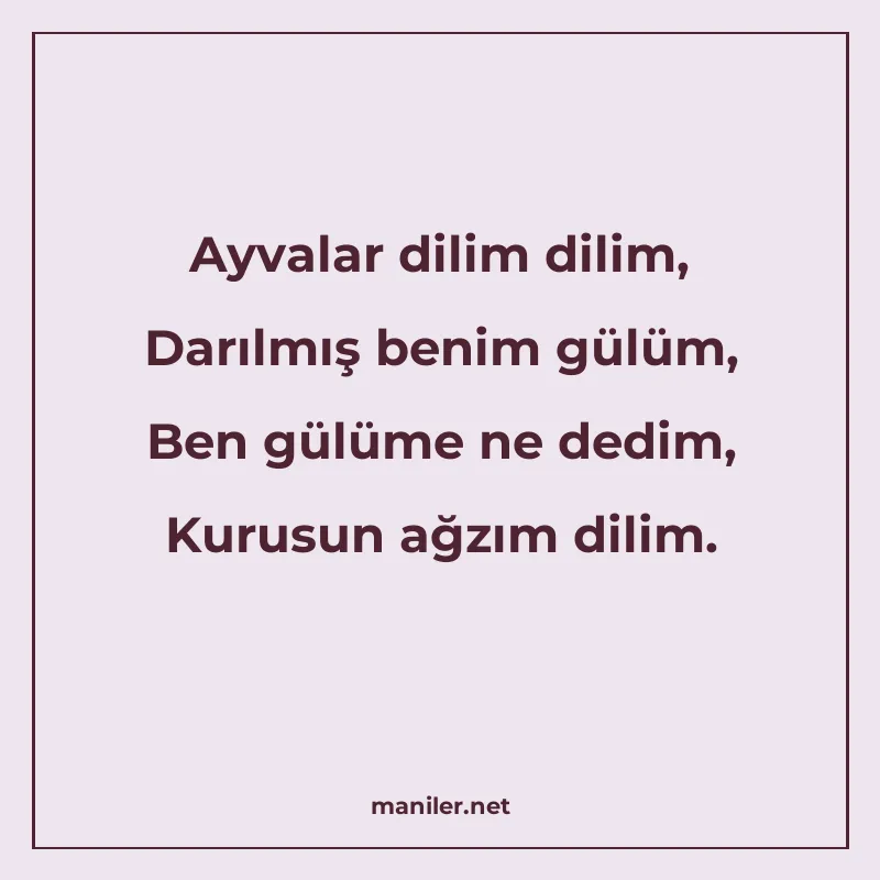 Ayvalar dilim dilim, Darılmış benim gülüm, Ben gülüme ne ded manisi görseli