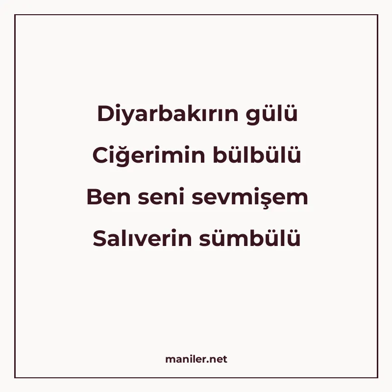 Diyarbakırın gülü Ciğerimin bülbülü Ben seni sevmişem Salıve manisi görseli