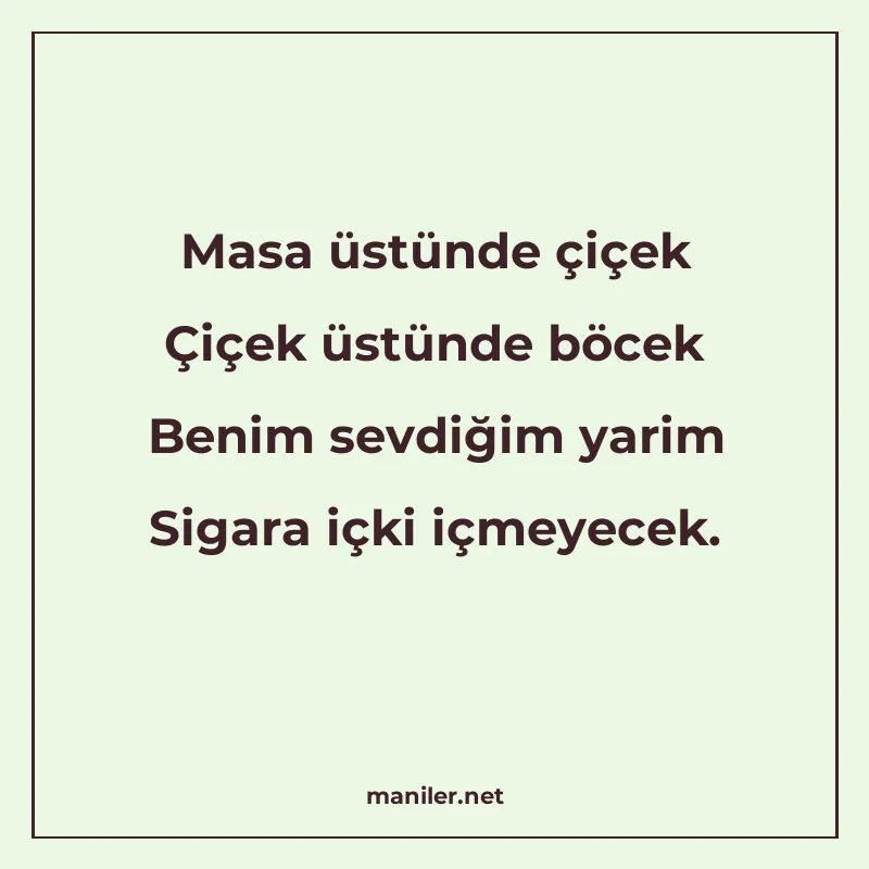 Masa üstünde çiçek Çiçek üstünde böcek Benim sevdiğim yarim manisi görseli