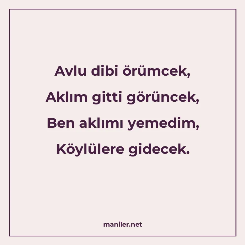 Avlu dibi örümcek, Aklım gitti görüncek, Ben aklımı yemedim manisi görseli