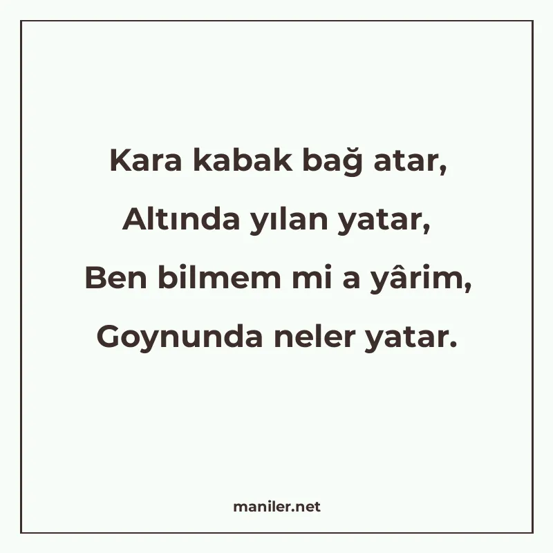 Kara kabak bağ atar, Altında yılan yatar, Ben bilmem mi a yâ manisi görseli