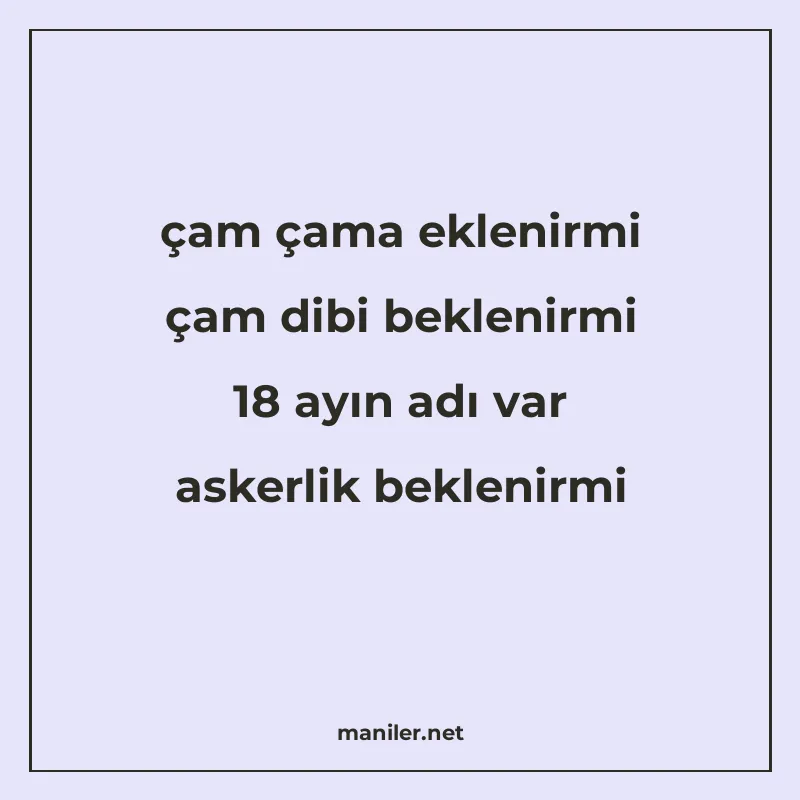 çam çama eklenirmi çam dibi beklenirmi 18 ayın adı var asker manisi görseli