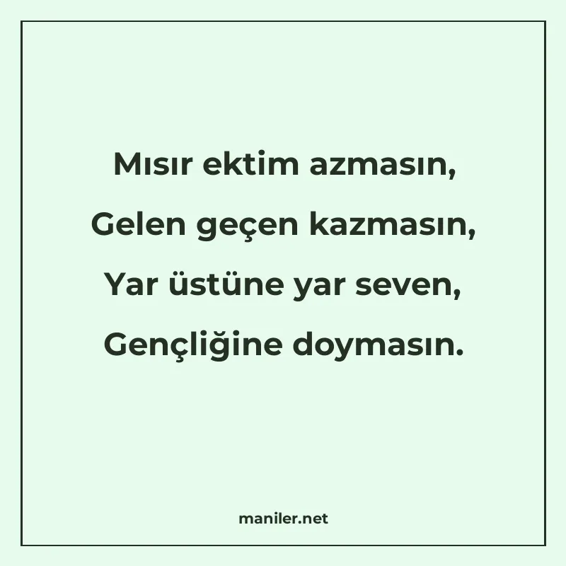 Mısır ektim azmasın, Gelen geçen kazmasın, Yar üstüne yar se manisi görseli