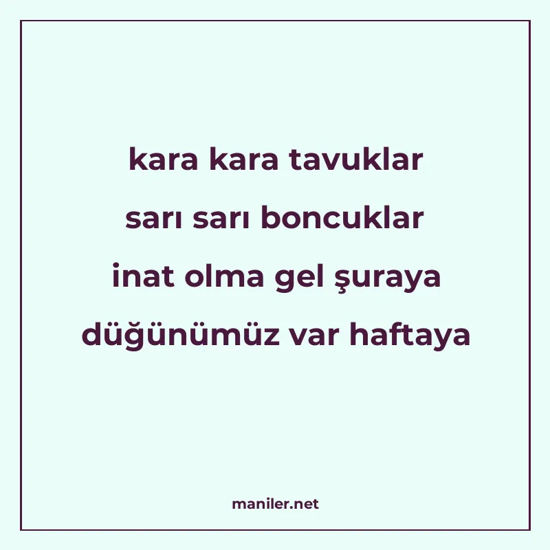 kara kara tavuklar sarı sarı boncuklar inat olma gel şuraya manisi görseli