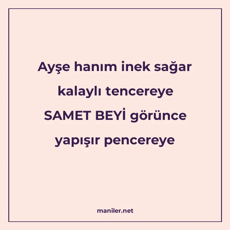 Ayşe hanım inek sağar kalaylı tencereye SAMET BEYİ görünce y manisi görseli