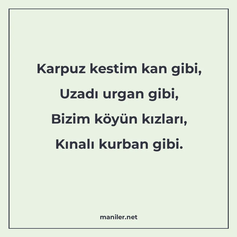 Karpuz kestim kan gibi, Uzadı urgan gibi, Bizim köyün kızlar manisi görseli
