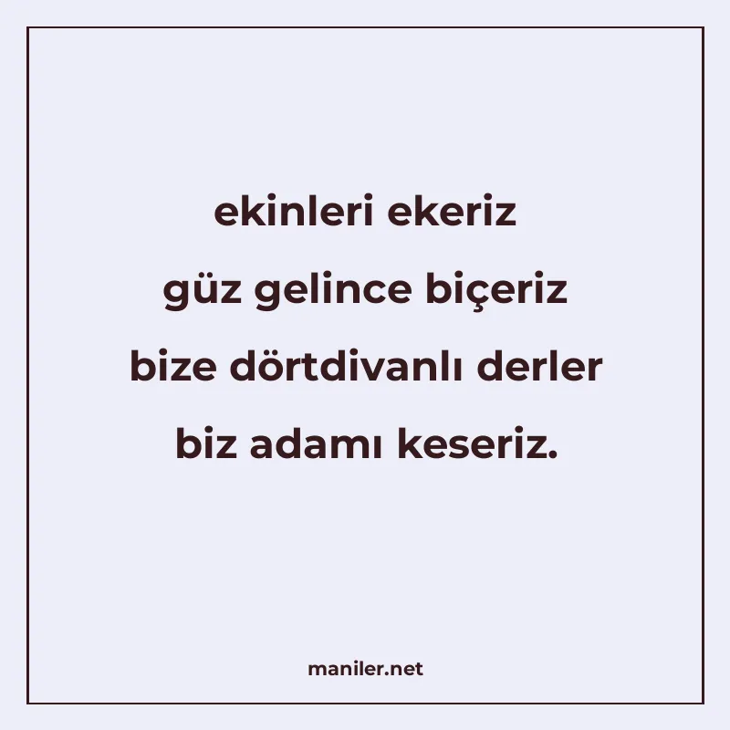 ekinleri ekeriz güz gelince biçeriz bize dörtdivanlı derler manisi görseli