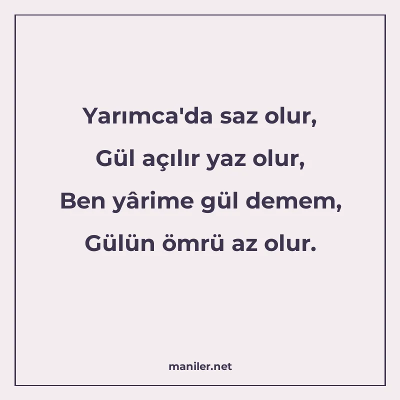 Yarımca'da saz olur, Gül açılır yaz olur, Ben yârime gül dem manisi görseli