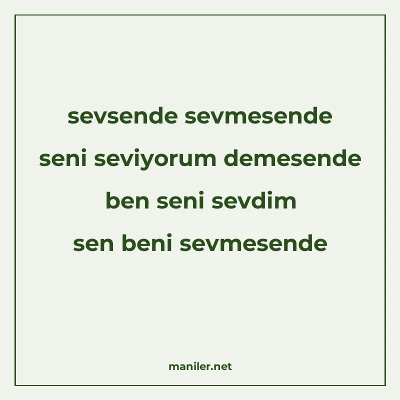 sevsende sevmesende seni seviyorum demesende ben seni sevdim manisi görseli