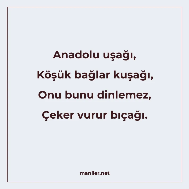 Anadolu uşağı, Köşük bağlar kuşağı, Onu bunu dinlemez, Çeker manisi görseli