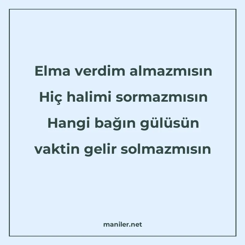 Elma verdim almazmısın Hiç halimi sormazmısın Hangi bağın gü manisi görseli