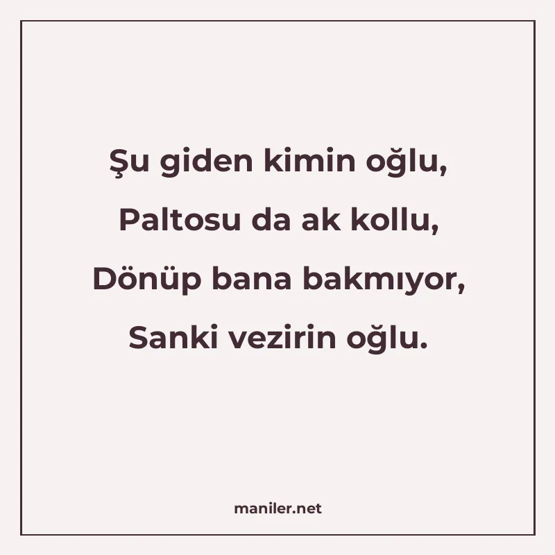 Şu giden kimin oğlu, Paltosu da ak kollu, Dönüp bana bakmıyo manisi görseli