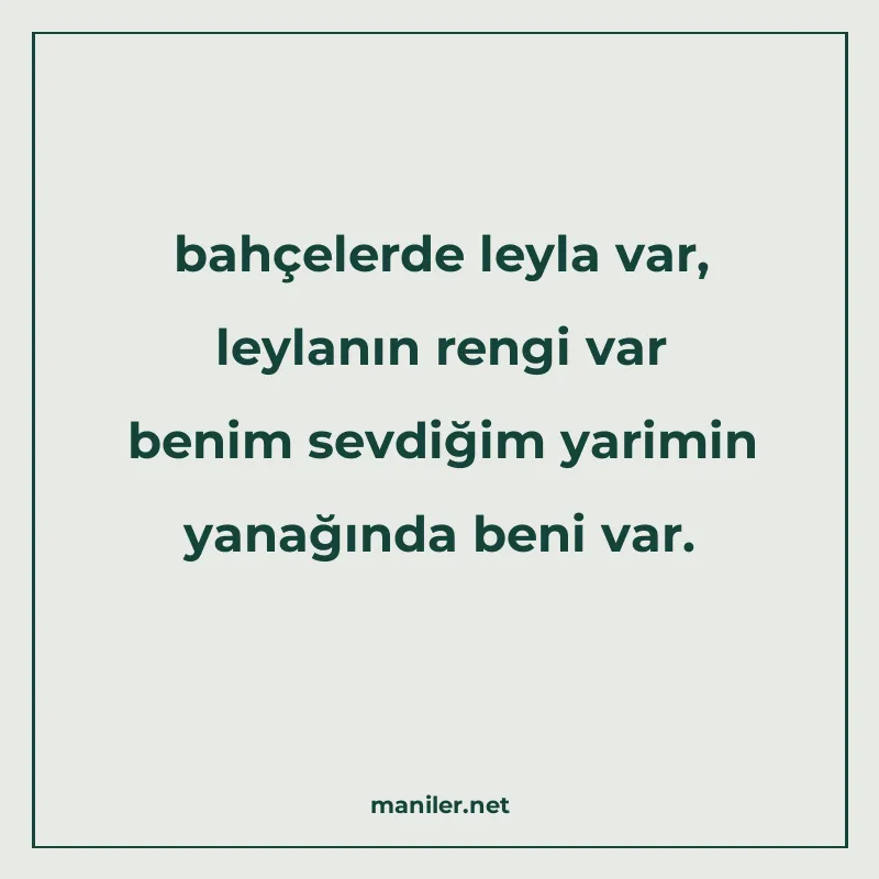 bahçelerde leyla var, leylanın rengi var benim sevdiğim yari manisi görseli