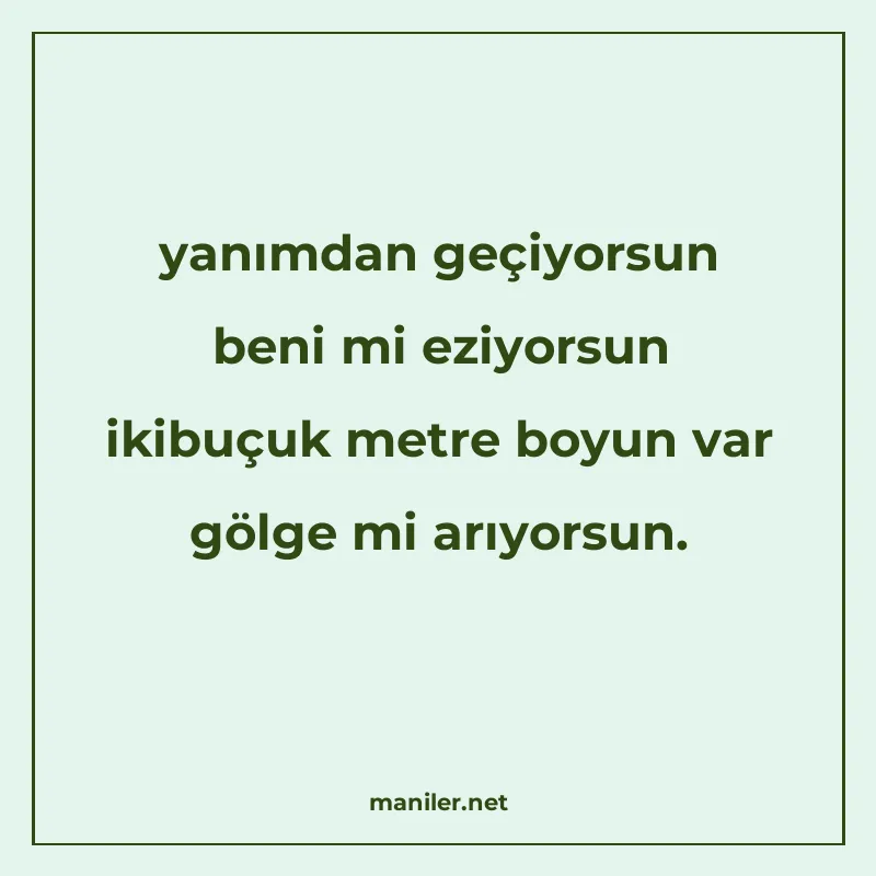 yanımdan geçiyorsun beni mi eziyorsun ikibuçuk metre boyun v manisi görseli