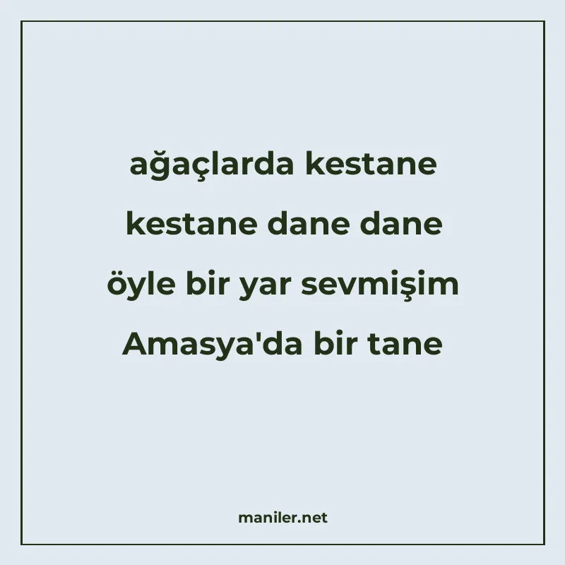 ağaçlarda kestane kestane dane dane öyle bir yar sevmişim Am manisi görseli