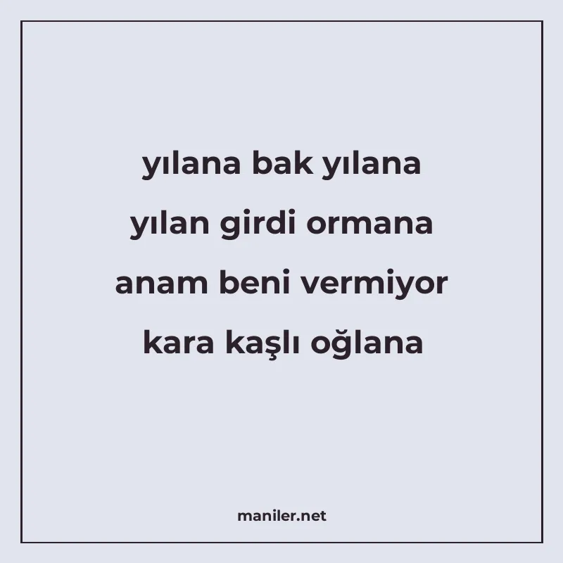 yılana bak yılana yılan girdi ormana anam beni vermiyor kara manisi görseli