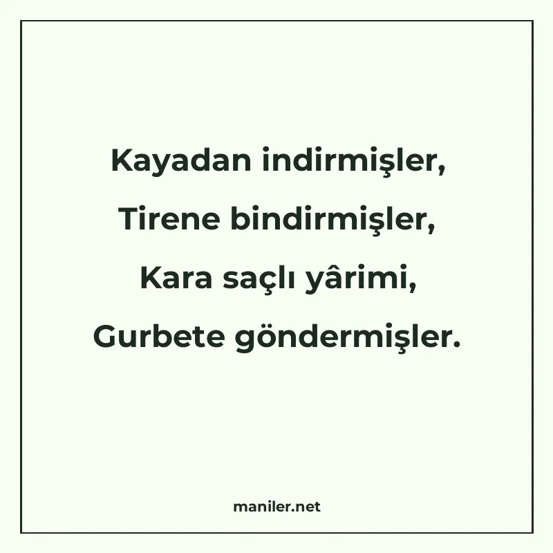 Kayadan indirmişler, Tirene bindirmişler, Kara saçlı yârimi manisi görseli
