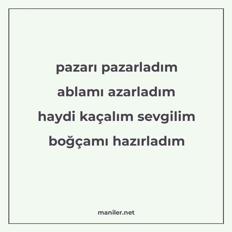 pazarı pazarladım ablamı azarladım haydi kaçalım sevgilim bo manisi görseli