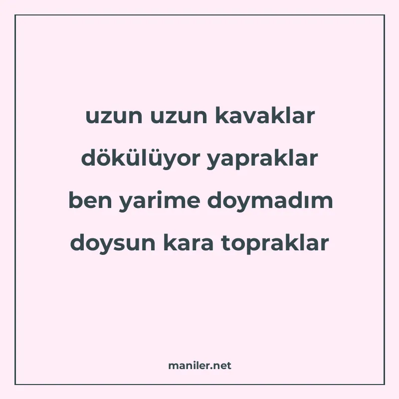 uzun uzun kavaklar dökülüyor yapraklar ben yarime doymadım d manisi görseli