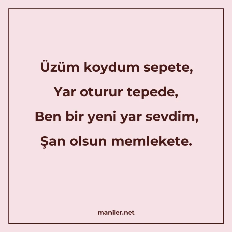 Üzüm koydum sepete, Yar oturur tepede, Ben bir yeni yar sevd manisi görseli