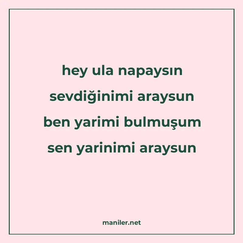hey ula napaysın sevdiğinimi araysun ben yarimi bulmuşum sen