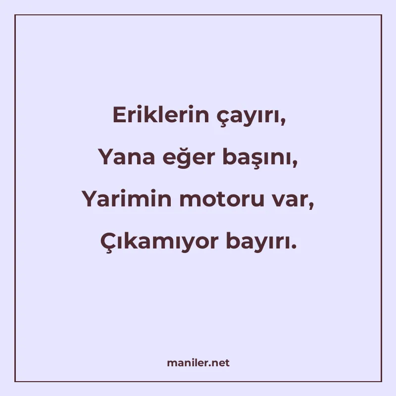 Eriklerin çayırı, Yana eğer başını, Yarimin motoru var, Çıka manisi görseli