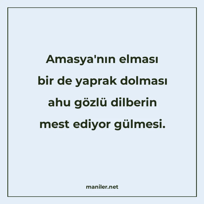 Amasya'nın elması bir de yaprak dolması ahu gözlü dilbe manisi görseli