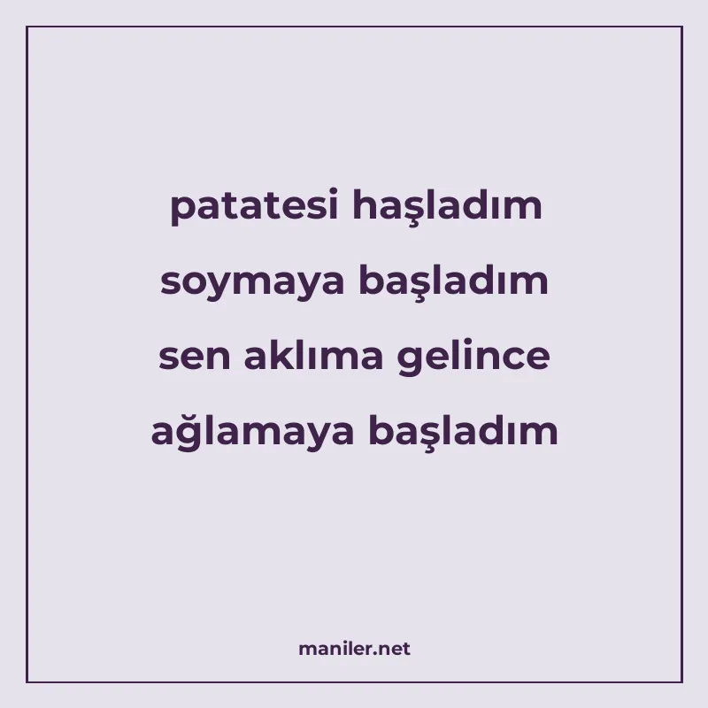 patatesi haşladım soymaya başladım sen aklıma gelince ağlama manisi görseli