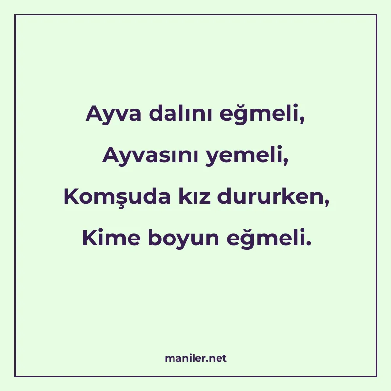 Ayva dalını eğmeli, Ayvasını yemeli, Komşuda kız dururken, K manisi görseli
