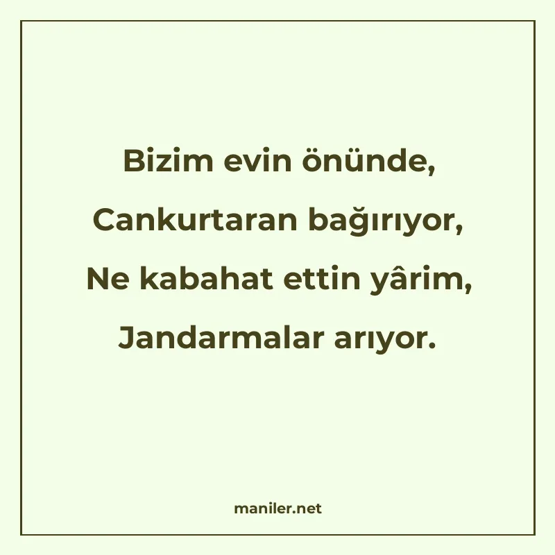 Bizim evin önünde, Cankurtaran bağırıyor, Ne kabahat ettin y manisi görseli