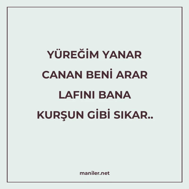 YÜREĞİM YANAR CANAN BENİ ARAR LAFINI BANA KURŞUN GİBİ SIKAR manisi görseli