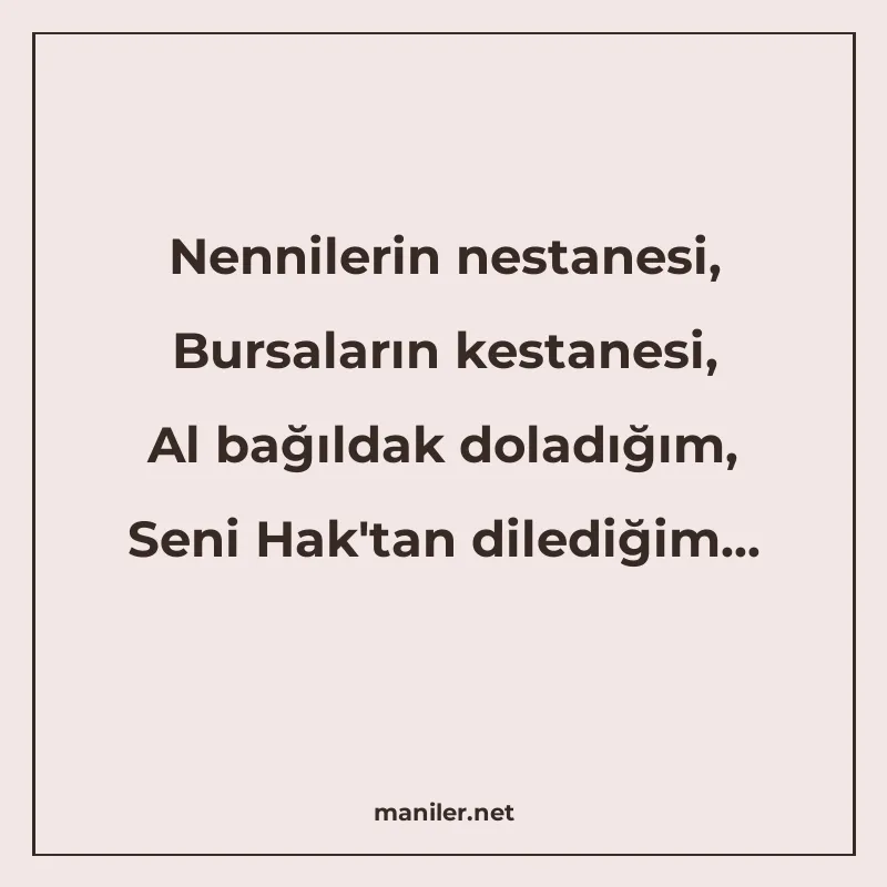 Nennilerin nestanesi, Bursaların kestanesi, Al bağıldak dola manisi görseli