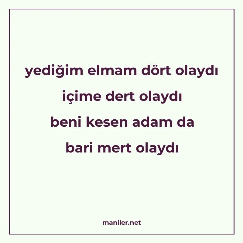 yediğim elmam dört olaydı içime dert olaydı beni kesen adam manisi görseli