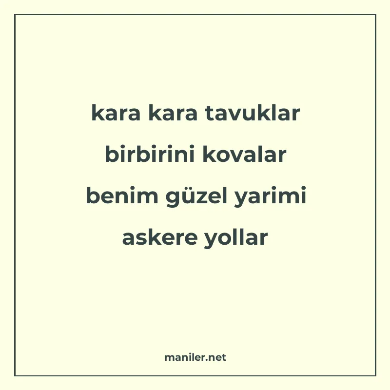kara kara tavuklar birbirini kovalar benim güzel yarimi aske manisi görseli