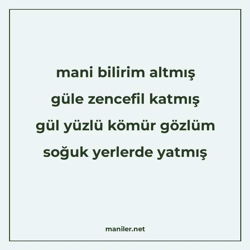 mani bilirim altmış güle zencefil katmış gül yüzlü kömür göz manisi görseli