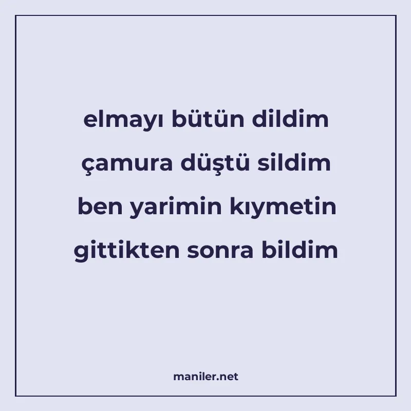 elmayı bütün dildim çamura düştü sildim ben yarimin kıymetin manisi görseli