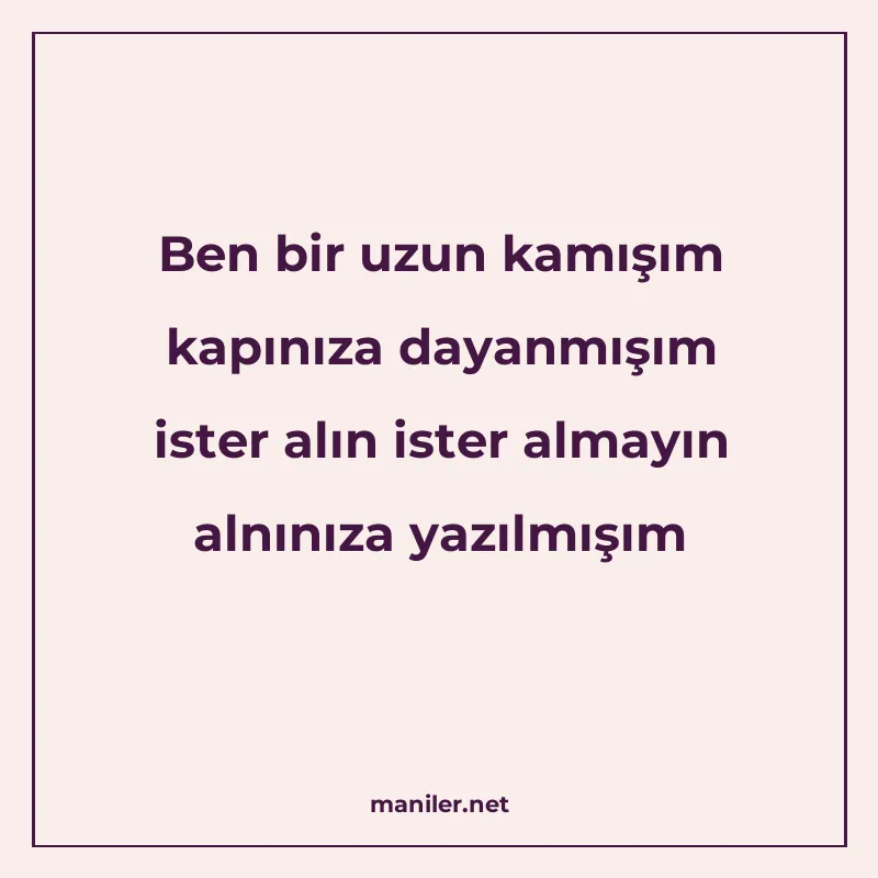 Ben bir uzun kamışım kapınıza dayanmışım ister alın ister al manisi görseli