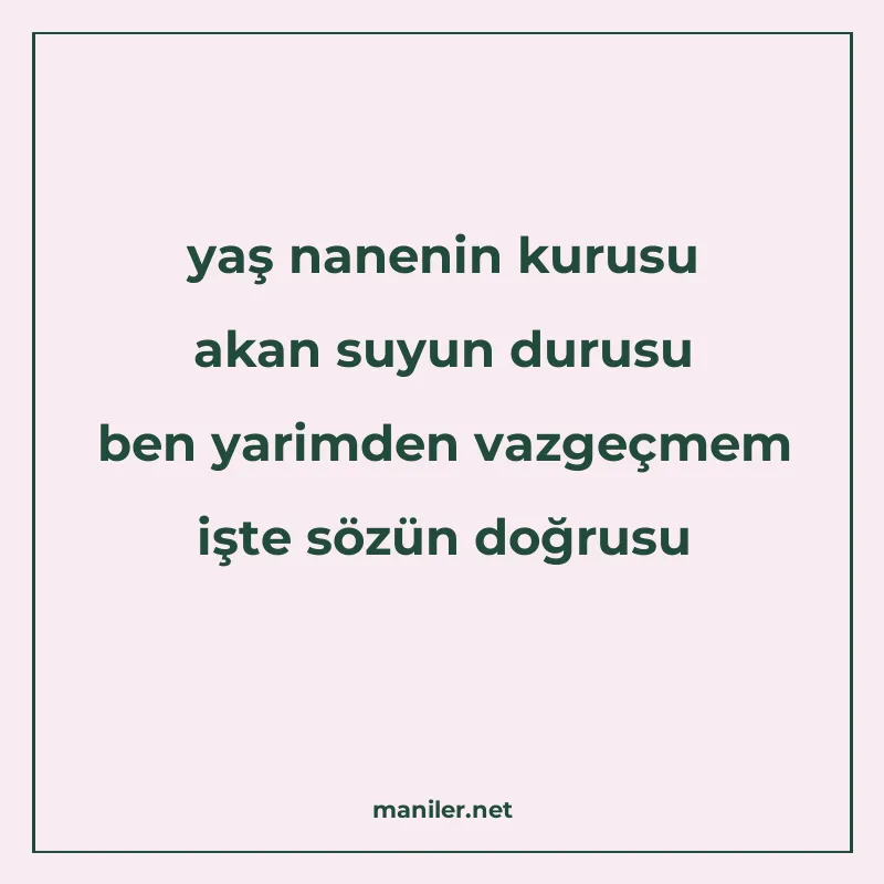 yaş nanenin kurusu akan suyun durusu ben yarimden vazgeçmem manisi görseli