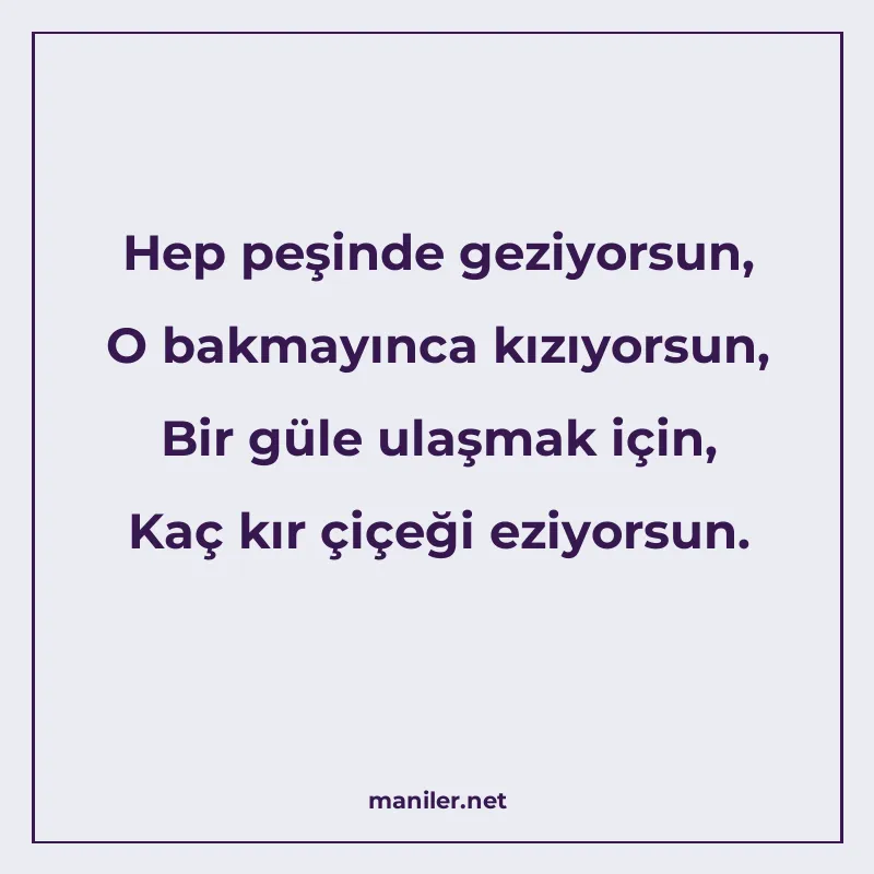 Hep peşinde geziyorsun, O bakmayınca kızıyorsun, Bir güle ul manisi görseli