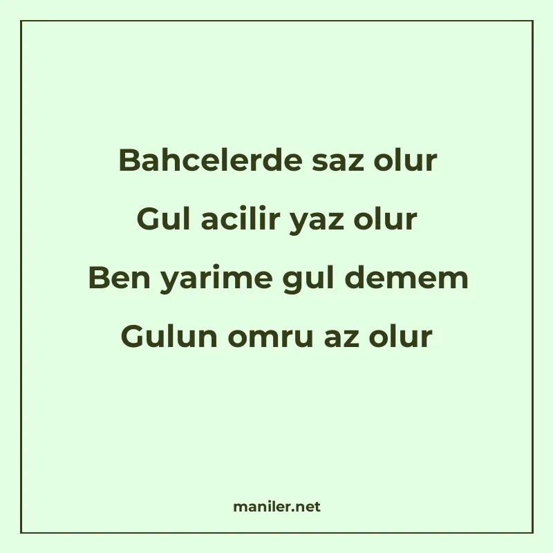 Bahcelerde saz olur Gul acilir yaz olur Ben yarime gul demem manisi görseli
