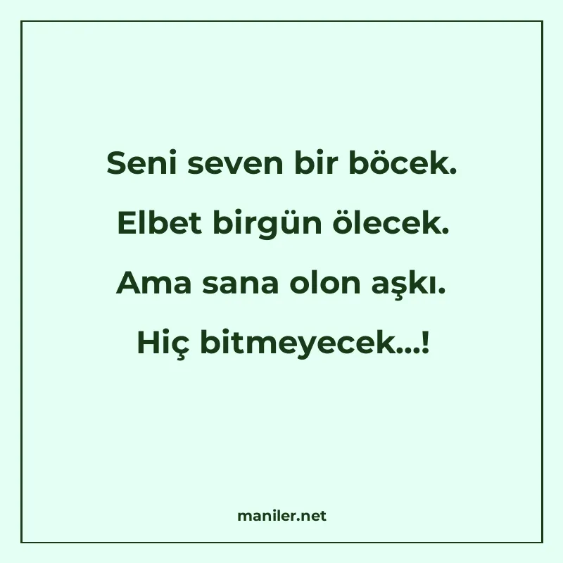 Seni seven bir böcek. Elbet birgün ölecek. Ama sana olon aşk manisi görseli