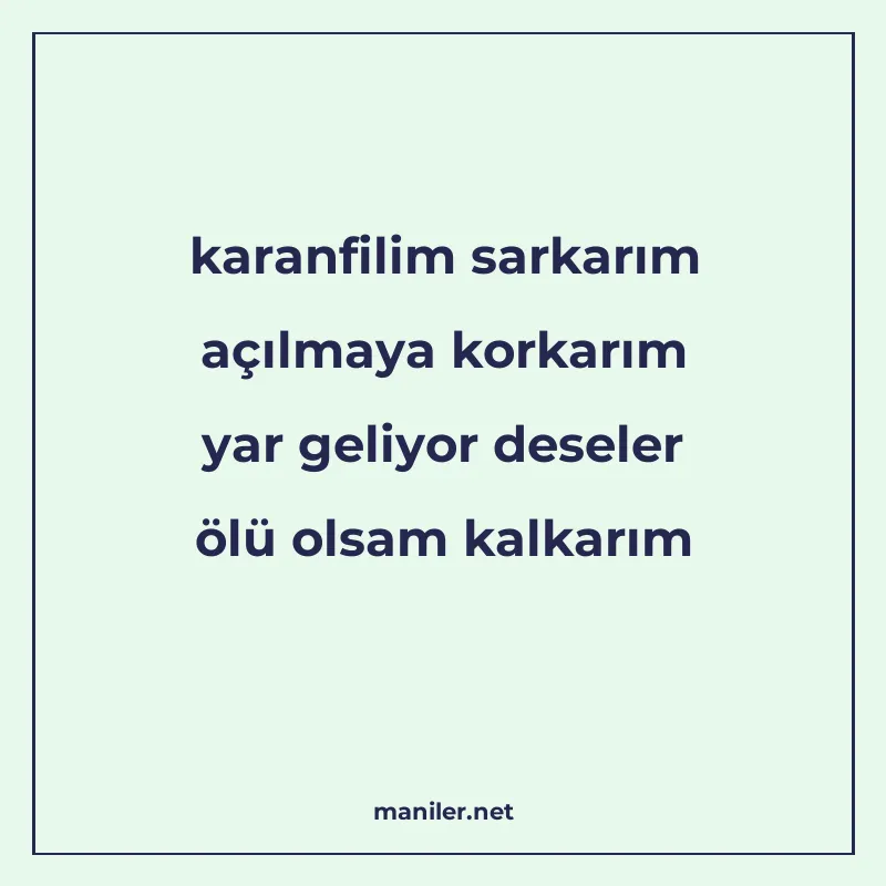 karanfilim sarkarım açılmaya korkarım yar geliyor deseler öl manisi görseli
