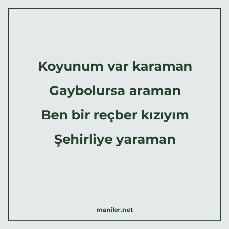 Koyunum var karaman Gaybolursa araman Ben bir reçber kızıyım manisi görseli