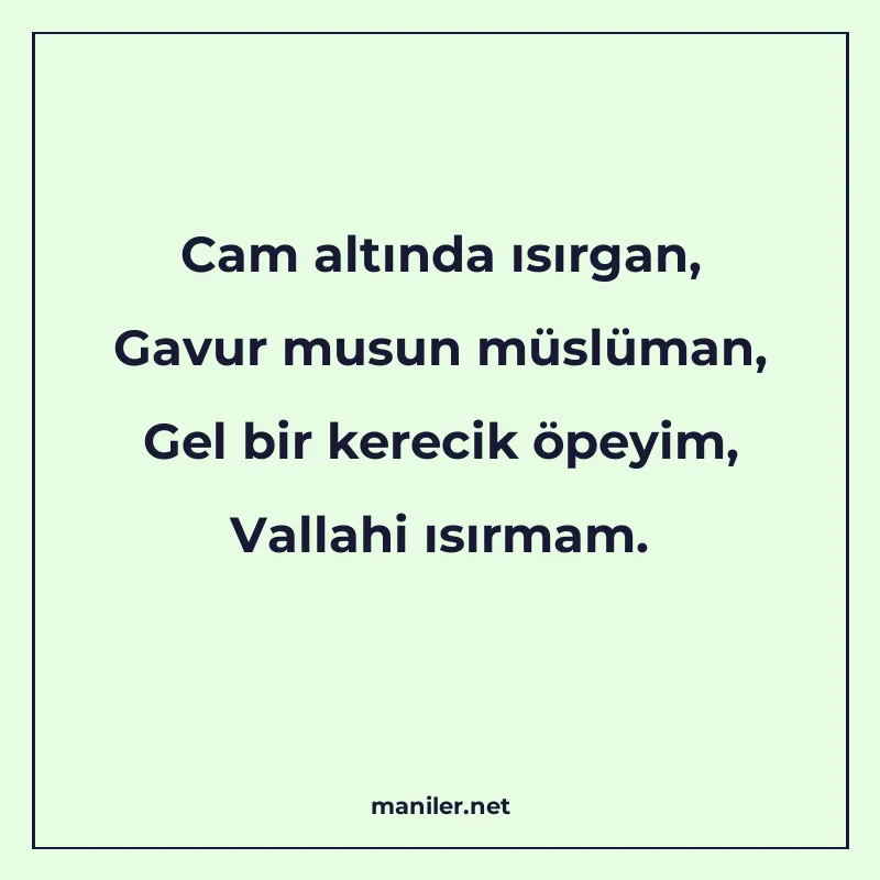 Cam altında ısırgan, Gavur musun müslüman, Gel bir kerecik ö manisi görseli