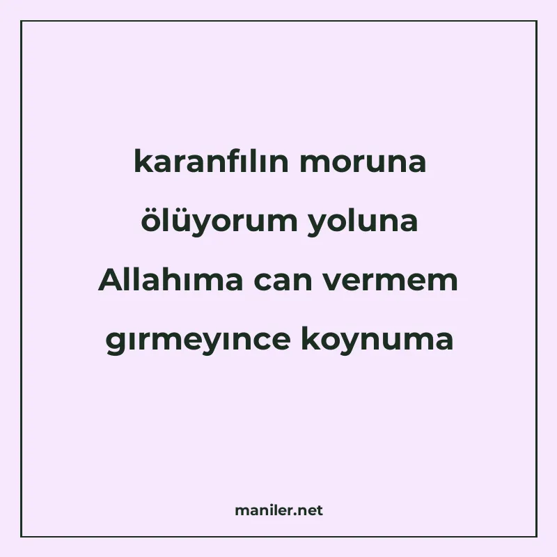 karanfılın moruna ölüyorum yoluna Allahıma can vermem gırmey manisi görseli